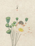中式民俗 二十四节气 小暑