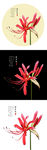 彼岸花