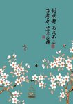 花卉海报