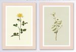 简约植物花卉文艺清新装饰画