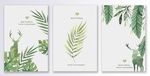 手绘动植物树叶现代装饰画