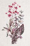 现代艺术植物花卉装饰画