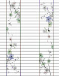 花纹