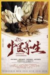 中医养生海报