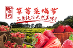 草莓采摘节海报