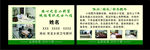 清雅名片模板