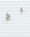 超白 花纹