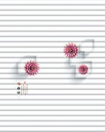 花纹
