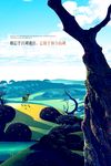 房地产海报