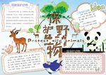 保护动物小报