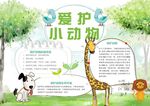 爱护动物小报