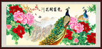孔雀牡丹