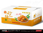 桔子包装 水果包装 橘子 芦柑