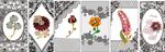 蕾丝花纹