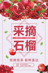 石榴