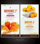 橙子