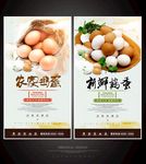 鸡蛋