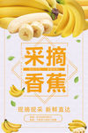 香蕉