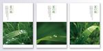 小清新风绿植装饰画