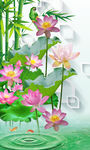 荷花玄关