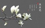 现代简约立体玉兰花背景墙
