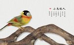 立体小鸟树枝装饰背景墙