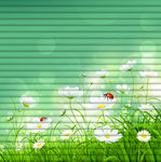 白花  虫子