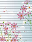 花纹   蜻蜓