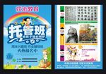 托管班招生培训教育海报DM单