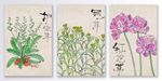 中国风民俗手绘花鸟装饰画