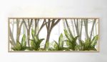 立体植物装饰画