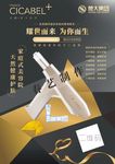 希卡贝尔海报