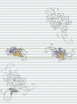 花纹