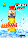 泰牛海报