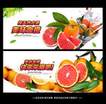 血橙