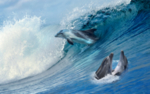 海豚