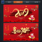 2019 猪年