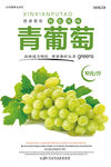 青葡萄