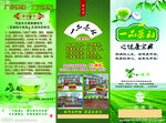 茶 茶叶 绿色 折页
