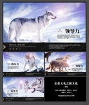 狼文化