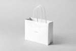 购物袋样机