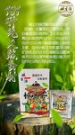 养生绿色图片
