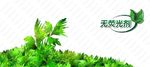 武藏艾草合成
