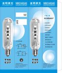 亚明源光