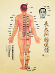 足太阳膀胱经