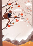 小浣熊坐在柿子树上