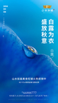 白露地产 传统 节日 地产