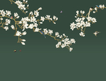 木兰花新中式玄关屏风背景底纹素
