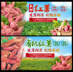 红薯