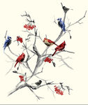鸟语